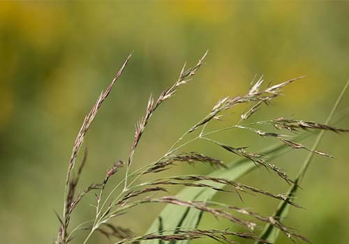 Nature Photo 釧路